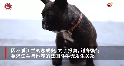 北京男子强逼女友与狗发生关系，只因其恋爱史