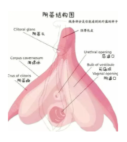 女友高潮时的奇怪表现，你的中招了吗