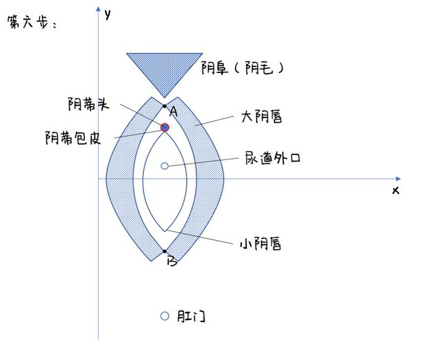 女生的私处，到底长什么样？（高清无码图）