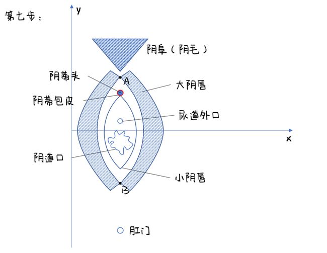 女生的私处，到底长什么样？（高清无码图）