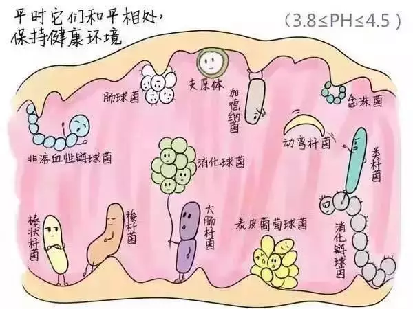 你是不是也觉得“私处”很脏很丑