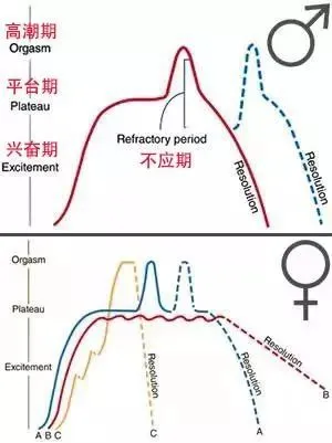 女生一晚上最多啪多少次才够？真相是……