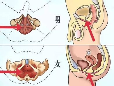 勃起不坚容易疲软怎么办？教你规范提升性能力