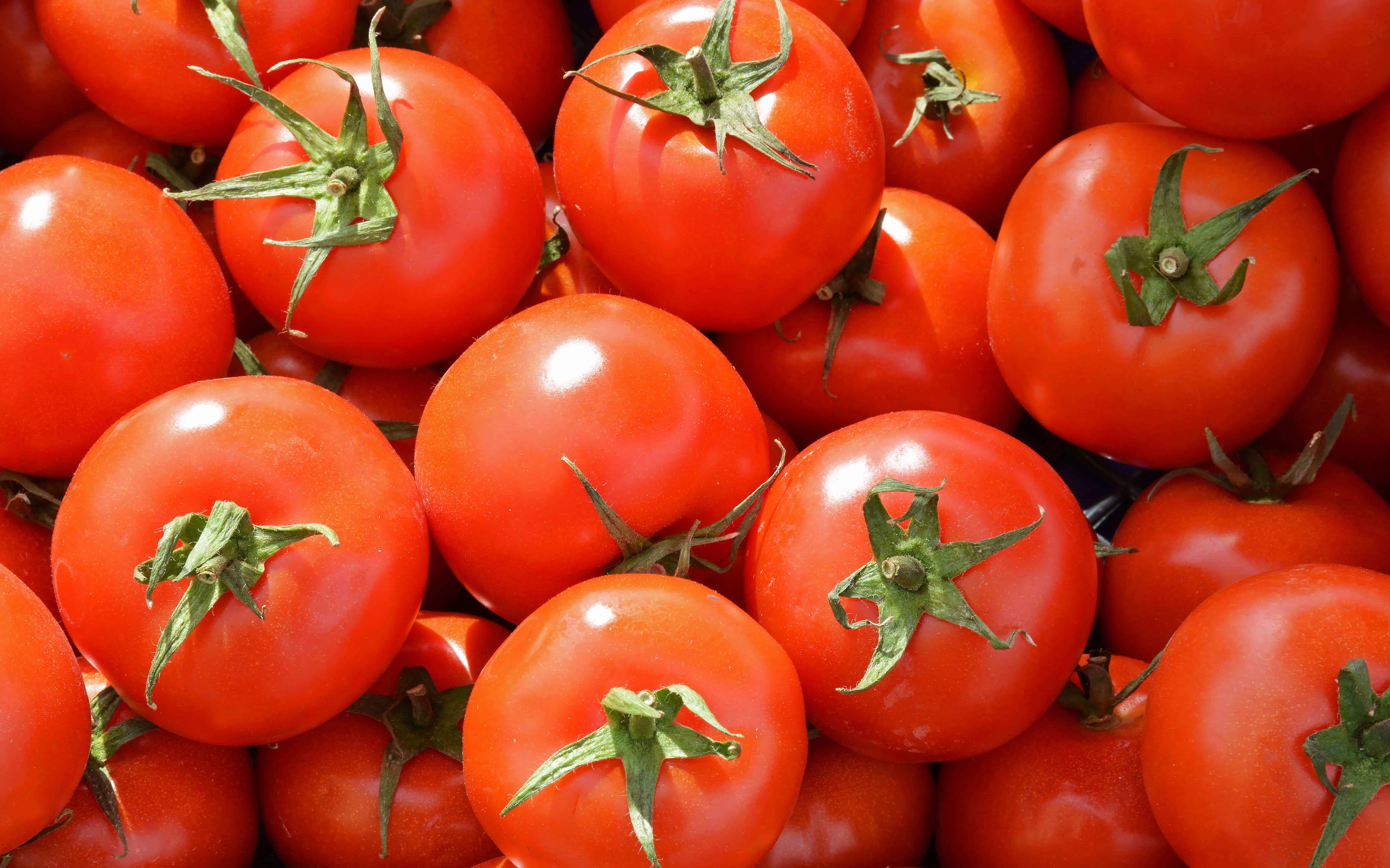 揭示西红柿的营养价值！生吃和熟吃都是健康的