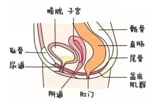 被啪到想尿尿是怎样一种体验