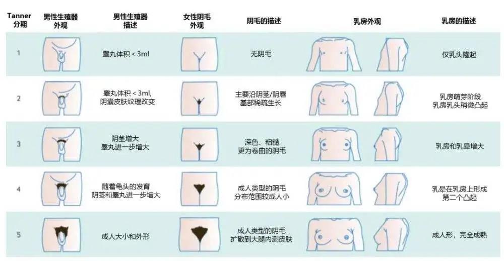 私处的毛毛到底要不要脱