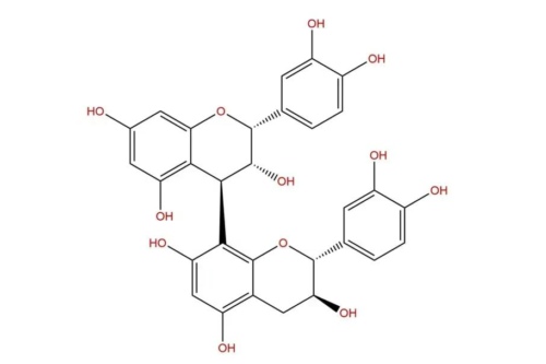 虾青素、原花青素、维生素C……到底哪个抗氧化更靠谱？