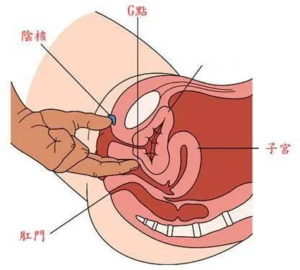 丁丁勃起时长度9cm，算正常吗？