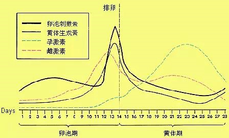 女人一般什么时候最想要爱爱