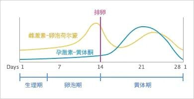 女人一般什么时候最想要爱爱