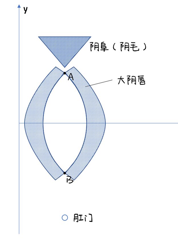 女生的私处，到底长什么样？（高清无码图）