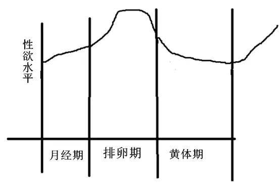 女人一般什么时候最想要爱爱