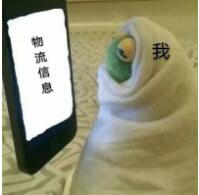 男人没有精子，还能当爹吗？