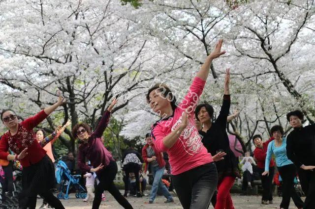 67岁大爷：跳广场舞时，被53岁女人主动追求，可高兴不久我却怕了