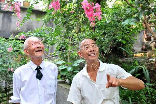 72岁老人：去养老院养老失败后，新型养老方式，让我过上幸福生活