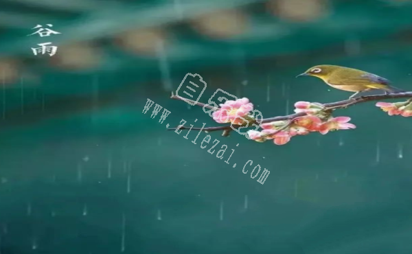 十首谷雨诗词，留住最后一抹春色（经典美文）