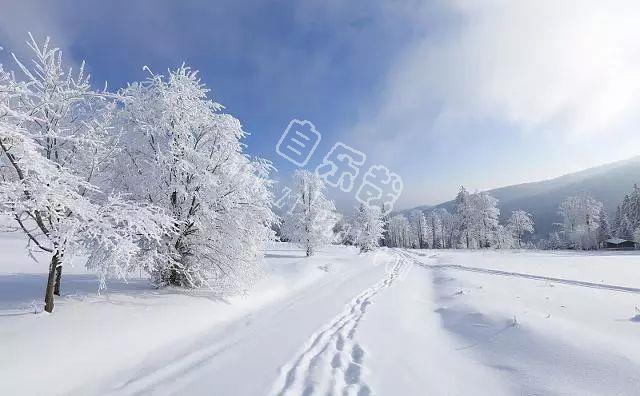 大雪节气的暖心祝福，字字表真情，句句暖人心！