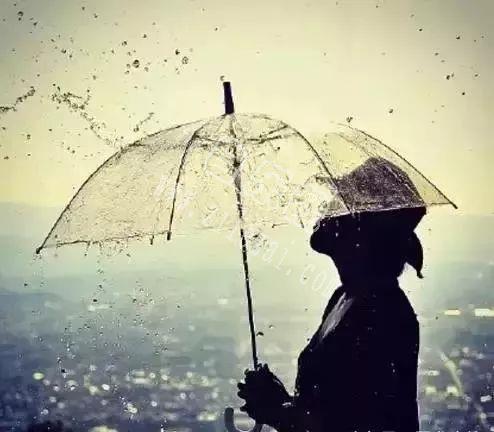 不属于我的雨伞，我宁愿淋雨走路