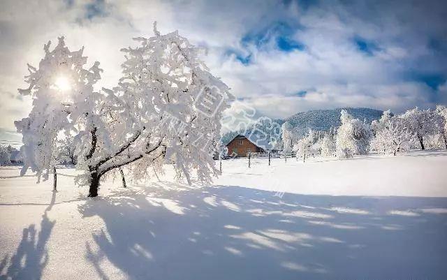 大雪节气的暖心祝福，字字表真情，句句暖人心！