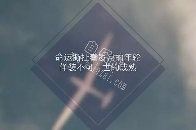 10句情话说给你听，句子很短却句句暖心