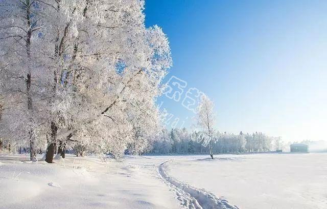 大雪节气的暖心祝福，字字表真情，句句暖人心！