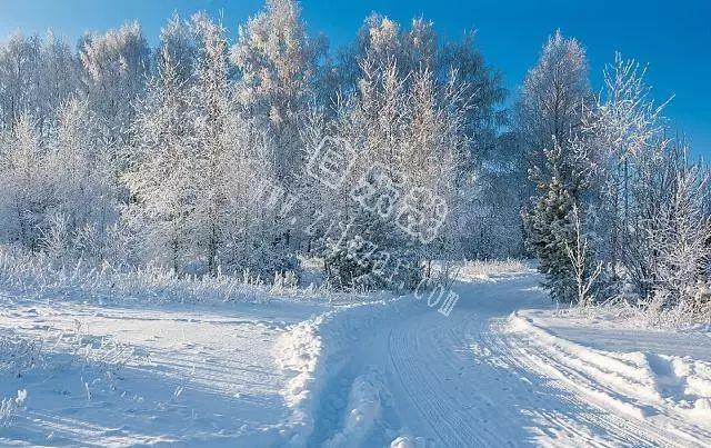 大雪节气的暖心祝福，字字表真情，句句暖人心！