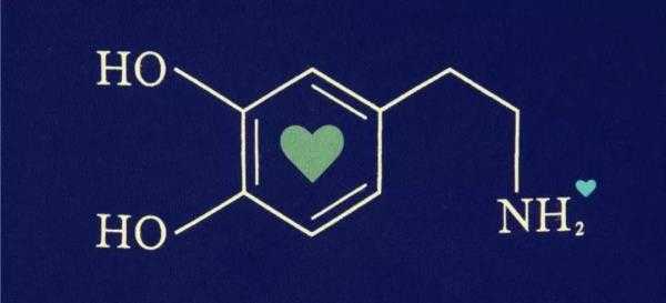 爱情是多巴胺的产物吗，爱情激素多巴胺导致短暂性遗忘