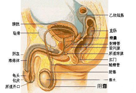 走后门，到底会咋样?