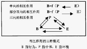 腐败中的行为交互决定论